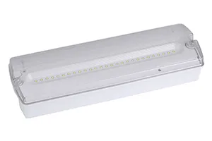 Bulkhead Emergency Light