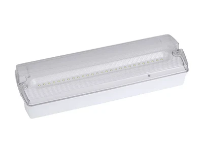 AD500 IP65 Waterproof LED Emergency Bulkhead